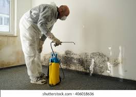 Why You Should Choose Our Mold Remediation Services in Archbald, PA